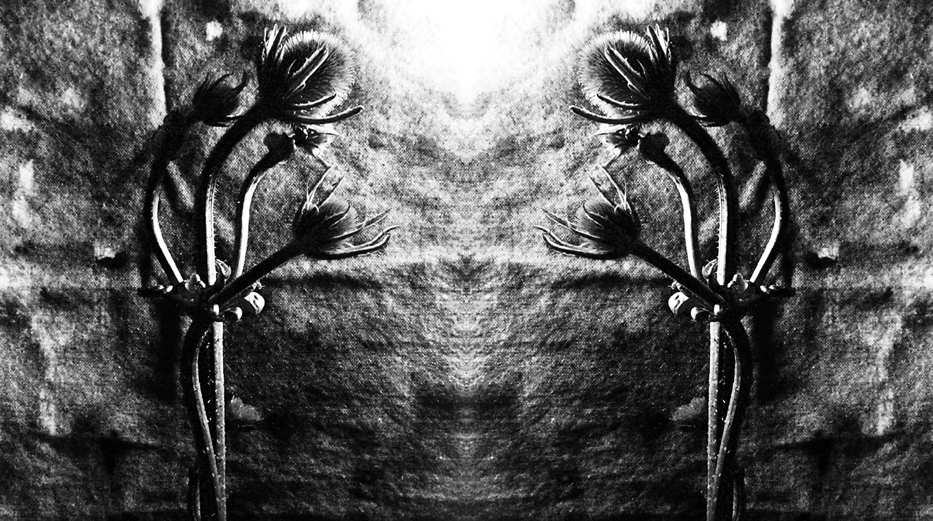 banner-img
