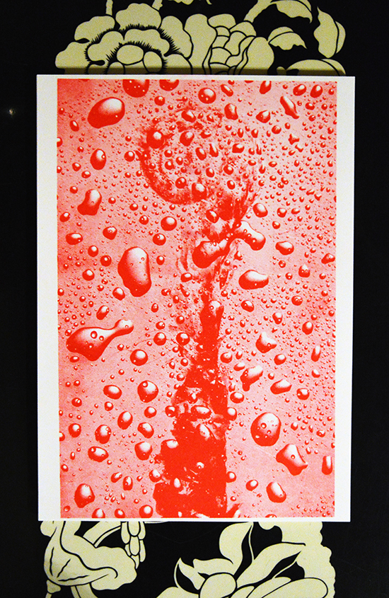 william vinegrad exhibitions