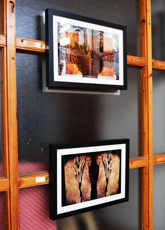 william vinegrad exhibitions